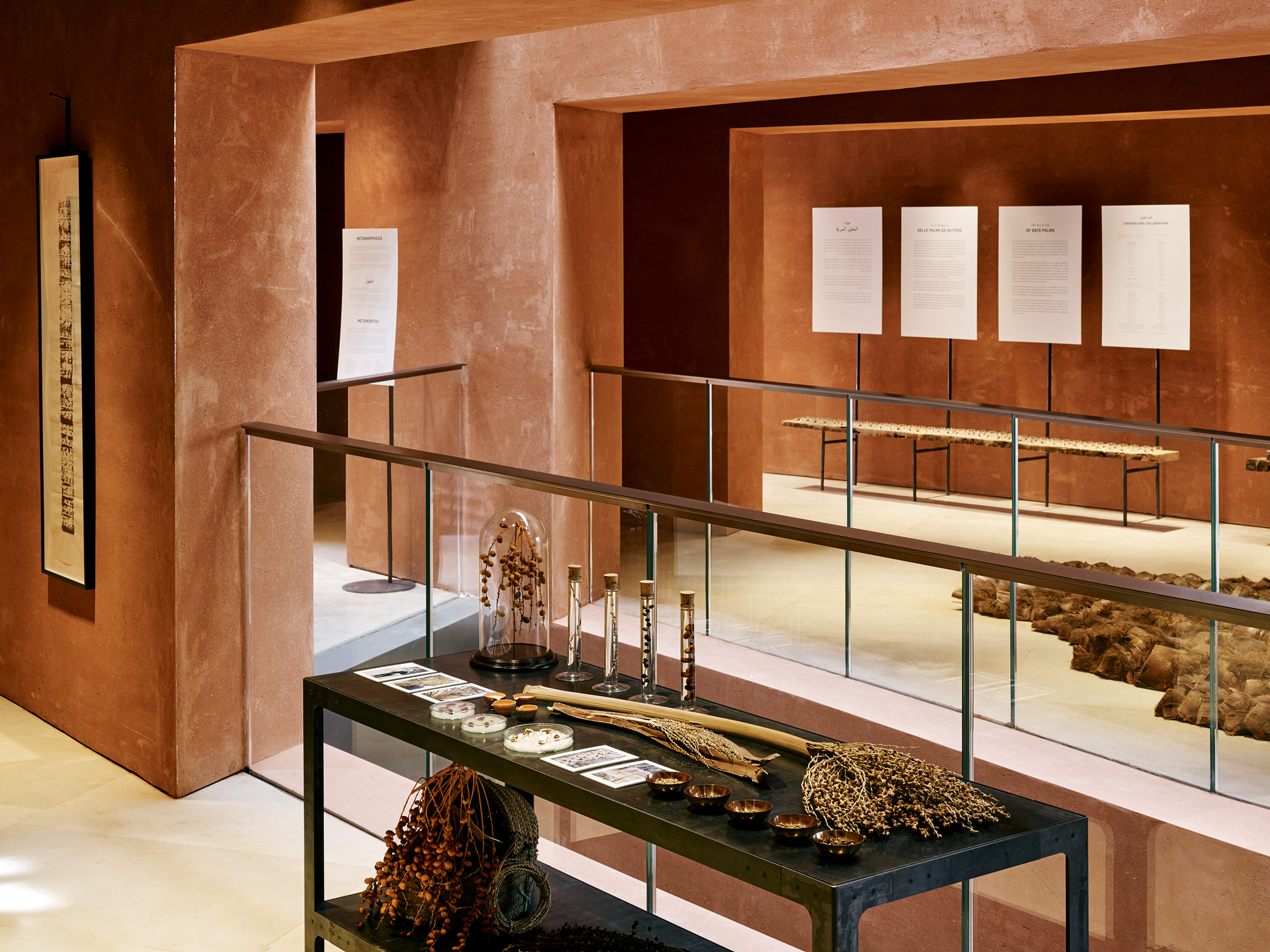 E15547 Alpa 050345 SCREEN